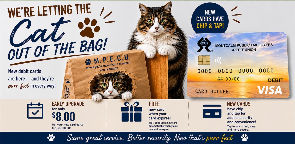 cat out of the bag